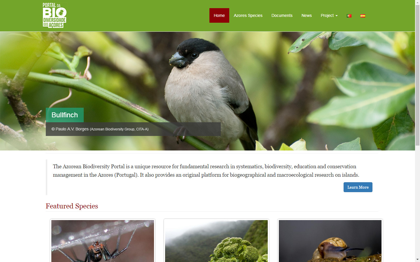 Azorean Biodiversity Portal