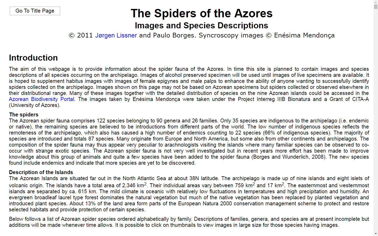 Azorean Spiders